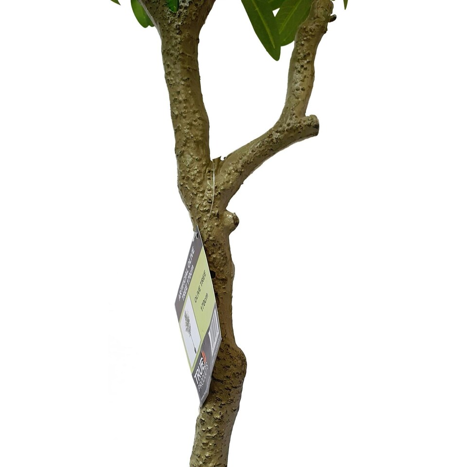 image 1 of True Products Premium Artificial Olive Tree 170cm Tall Green | One Size