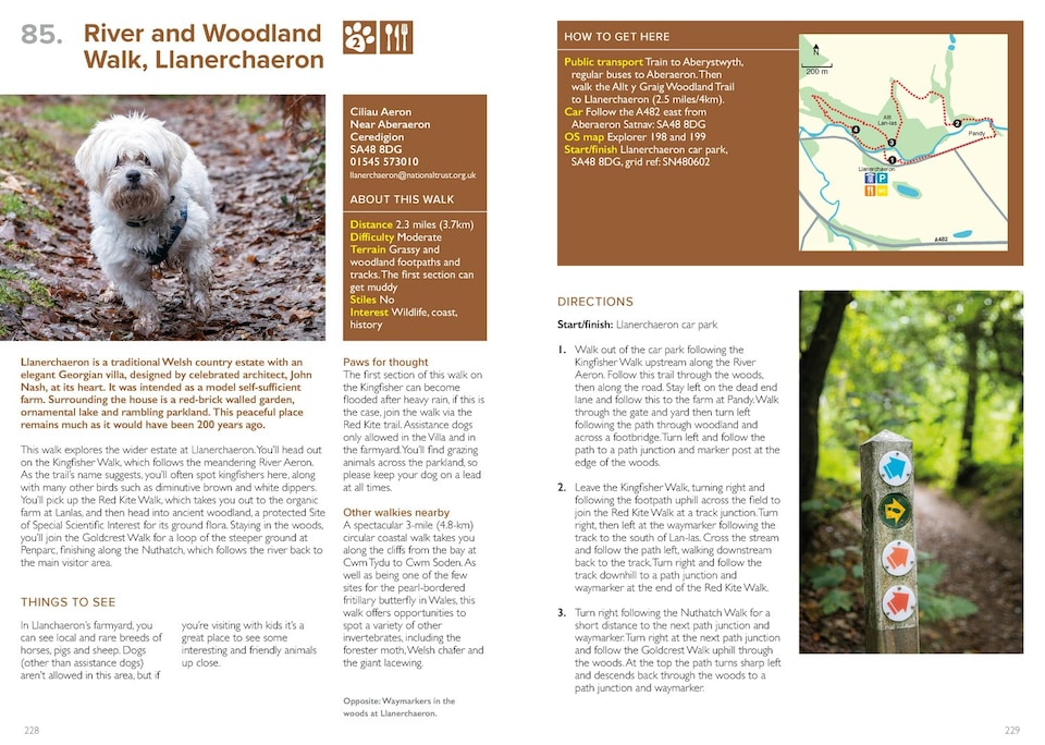 image 1 of Great British Walkies