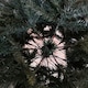 image 5 of 6ft (1.8m) Premier PVC Space Saving Christmas Parasol Tree with 408 Tips in Green