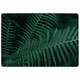 image 1 of Plants Background. Biophilia Trend Designer Rug | Multi