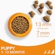 image 5 of IAMS Complete Dry Dog Food for Puppy Large Breeds with Chicken 12 kg