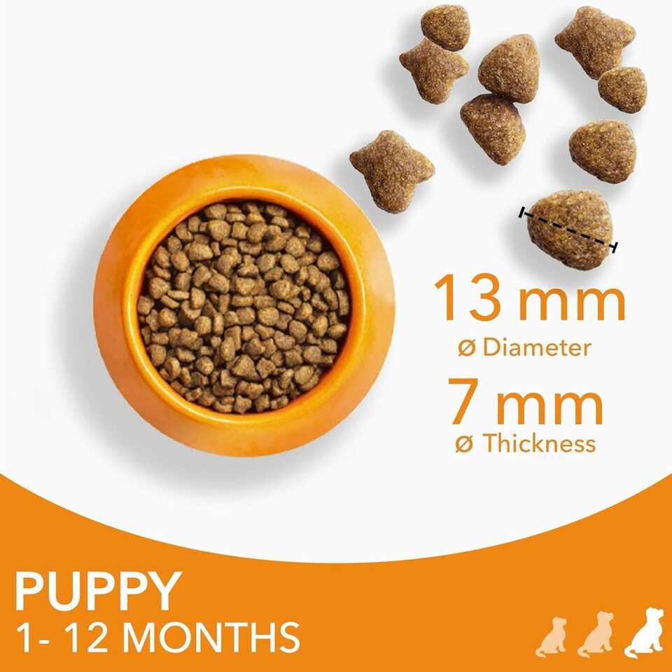 image 1 of IAMS Complete Dry Dog Food for Puppy Large Breeds with Chicken 12 kg
