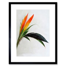 Tropical Plant Bird of Paradise Flower Botanical Bloom 9x7" Black Framed Wall Art Print
