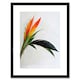 image 1 of Tropical Plant Bird of Paradise Flower Botanical Bloom 9x7" Black Framed Wall Art Print