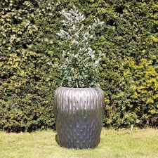 Outdoor Décor