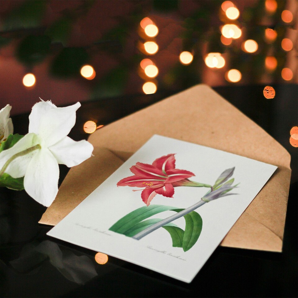 image 1 of Pierre-Joseph Redouté Art Card Brazilian Amaryllis Flower