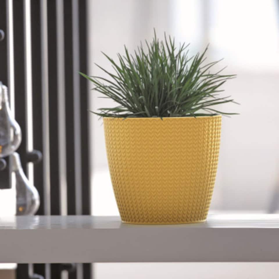 image 1 of WHEATY Round Flower Pot - 13.8x15.7x15.7cm | Yellow | Yellow & Set of 1 | 1