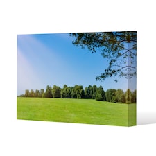 grass field with forest trees and environment public park with sun rays (Canvas Print) / 101 x 77 x 4cm | Multi