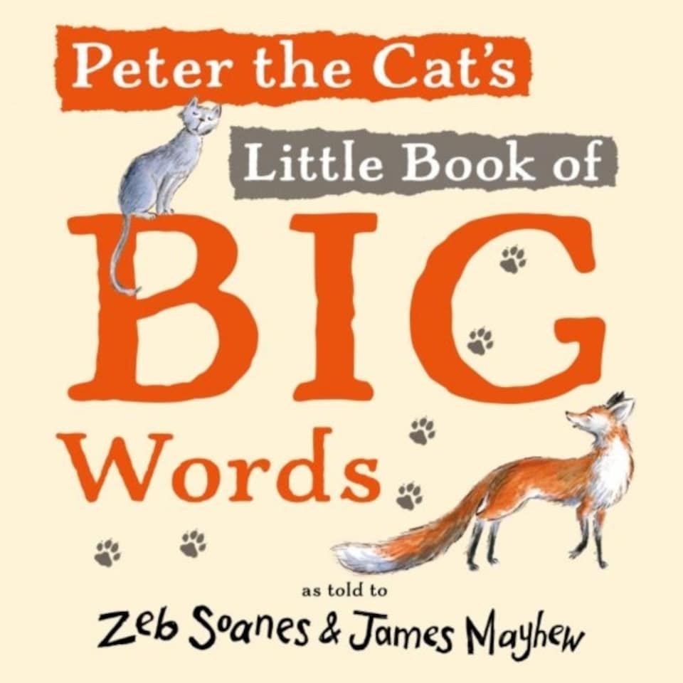 Peters The Cats Little Book/big Words 4