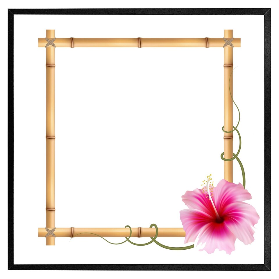 image 1 of Bamboo border (Picture Frame) White | L