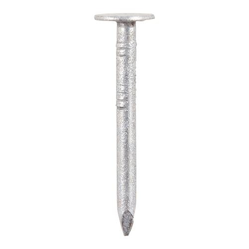 Timco - Clout Nail - Galvanised (Size 30 x 2.65 - 2.5 Kilograms)
