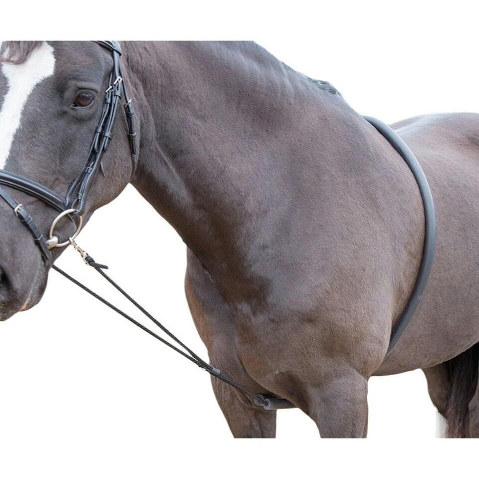 image 1 of Shires Horse Lunging Aid - Black - One Size