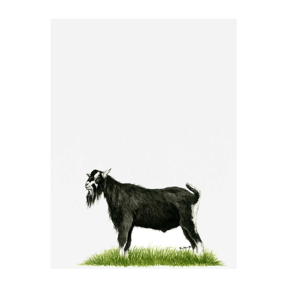 image 1 of Kevin Milner British Alpine Goat Greetings Card - White/Black/Green - One Size