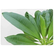 Collection Of Green Leaves On White Rug Green | M
