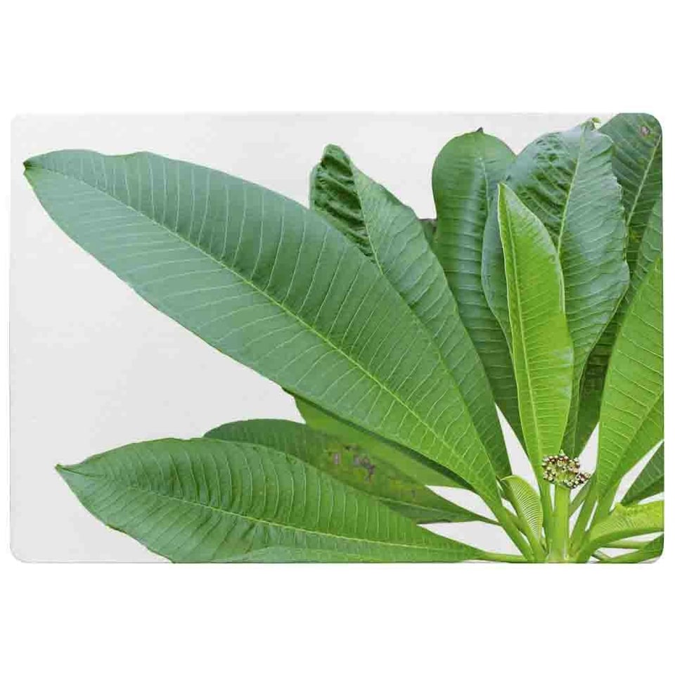 image 1 of Collection Of Green Leaves On White Rug Green | M