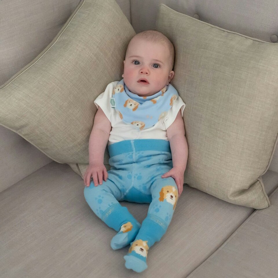 image 1 of Ziggle Leggings and Socks Set 6-12m - Cockapoo
