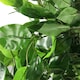 image 5 of Artificial Ficus Tree Plant Green Extra Large Bushy Ficus 120cm 4ft Realistic Botanik | Green | 4ft