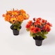 image 1 of Homescapes Artificial Foxtail Autumn Flowers in Grave Vases, Set of 2