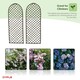image 6 of Oypla Set of 2 Willow Trellis Fencing Panel Screen Climbing Trellises