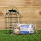 image 1 of Samuel Alexander Metal Hanging Bird Fat Ball Feeder with Squirrel Guard & Pack of 6 Suet Fat Balls