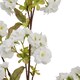 image 4 of Artificial Tall Blossom - Plastic - L6 x W8 x H130 cm - White