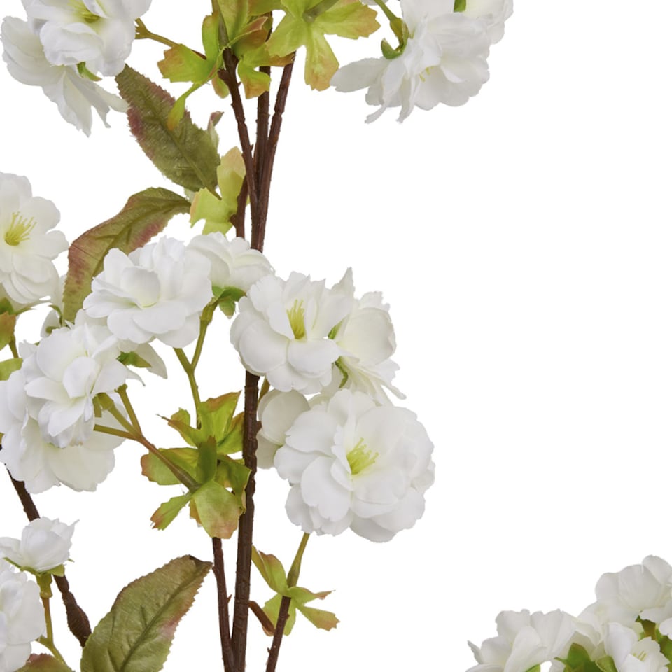 image 1 of Artificial Tall Blossom - Plastic - L6 x W8 x H130 cm - White