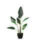 image 1 of 78Cm Real Touch Bird Of Paradise in Black Plastic Pot Green | One Size