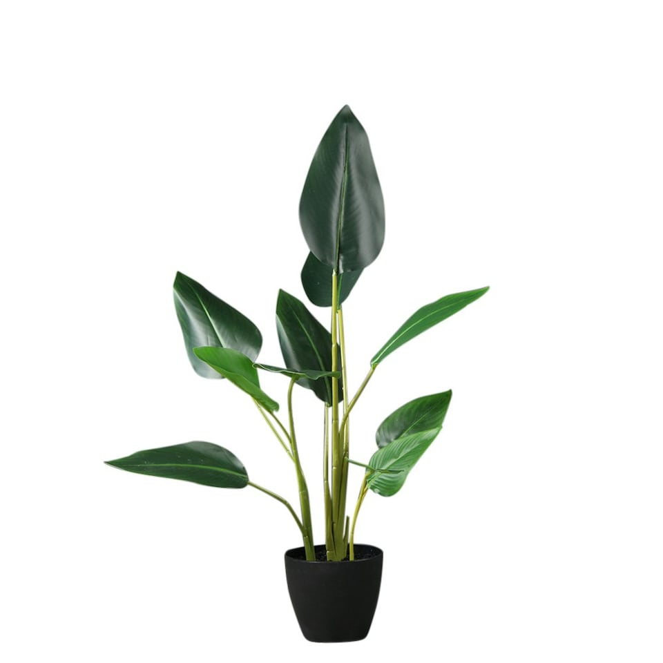 image 1 of 78Cm Real Touch Bird Of Paradise in Black Plastic Pot Green | One Size