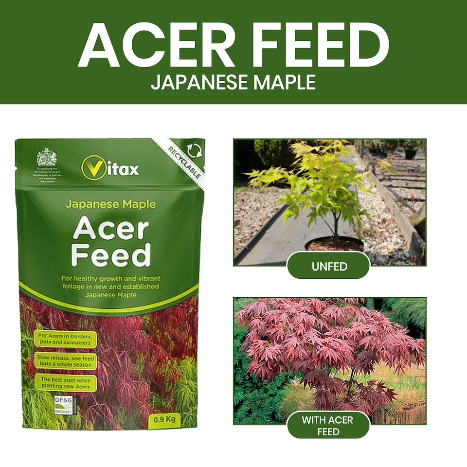image 1 of Vitax Acer Feed Japanese Maple Tree Organic Plant Feed Healthy Growth Vibrant Foliage 0.9kg Pack of 3