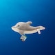 image 4 of Dave The Dolphin Knitty Friends Ocean Collection