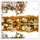 image 1 of Autumn lake (Picture Frame) White | XS