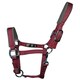 image 1 of Woof Wear Contour Head Collar Blue | Size: Cob
Colour: Shiraz/Navy