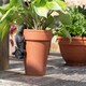 image 1 of Red Squirrel Plant Pot Hanger - L13 x W4.5 x H7 cm