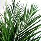 image 4 of Areca Palm Artificial Tree 130cm  - Realistic plant by Botanik Green | One Size