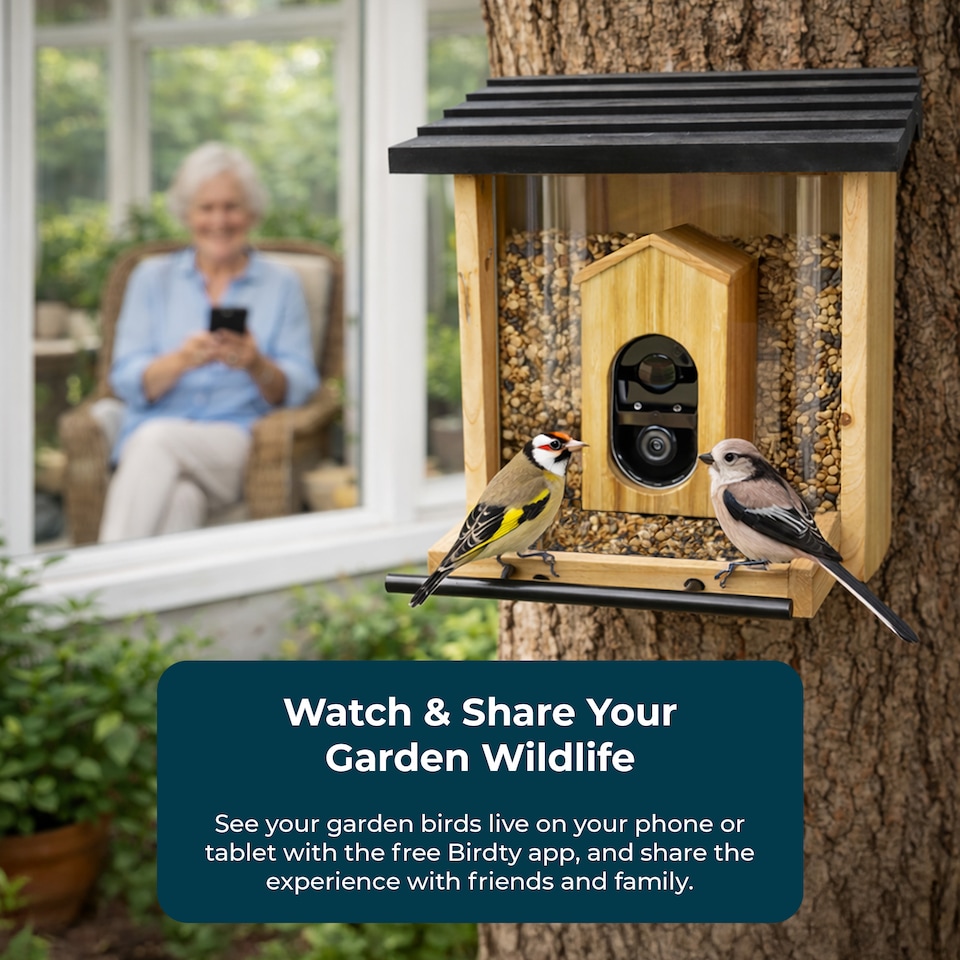 image 1 of JSH Smart Bird Feeder Camera with AI Species Identifier 1080p Video with Night Vision Solar Panel Livestream Feeding Table