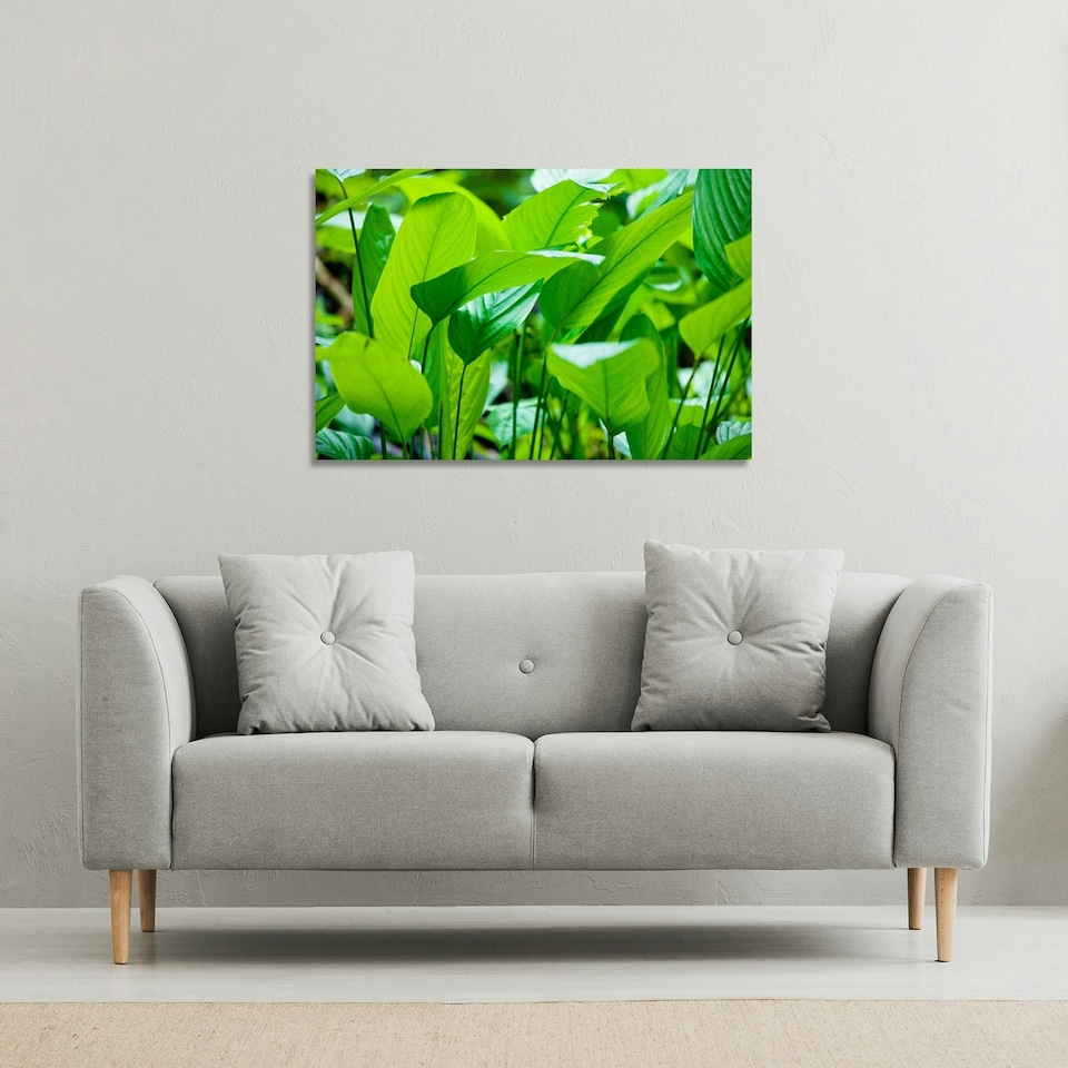 image 1 of Green leaf background abstract of nature (Canvas Print) 101 x 77 x 4cm
