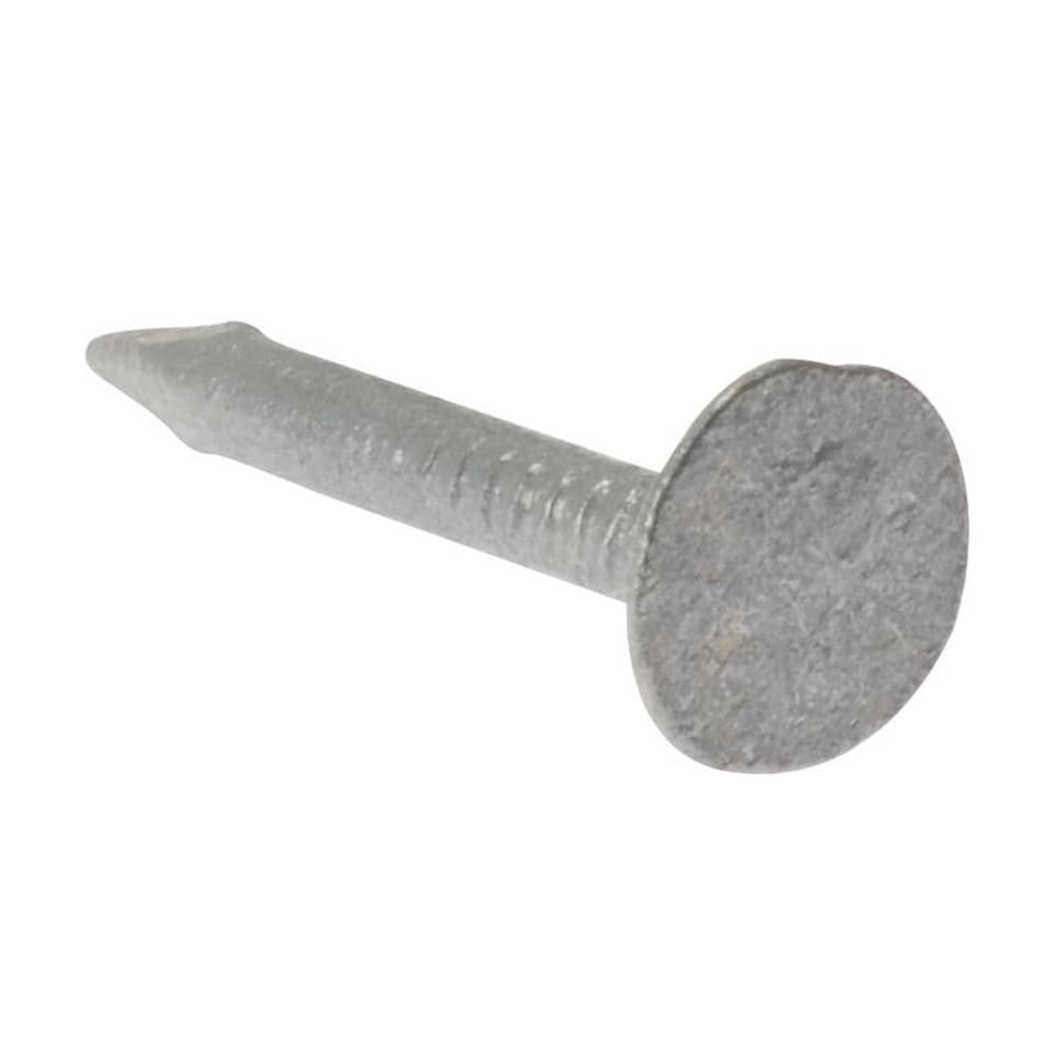 Forgefix Clout Nails, Extra Large Head, Galvanised - Galvanised - 25mm Bag Weight 500g