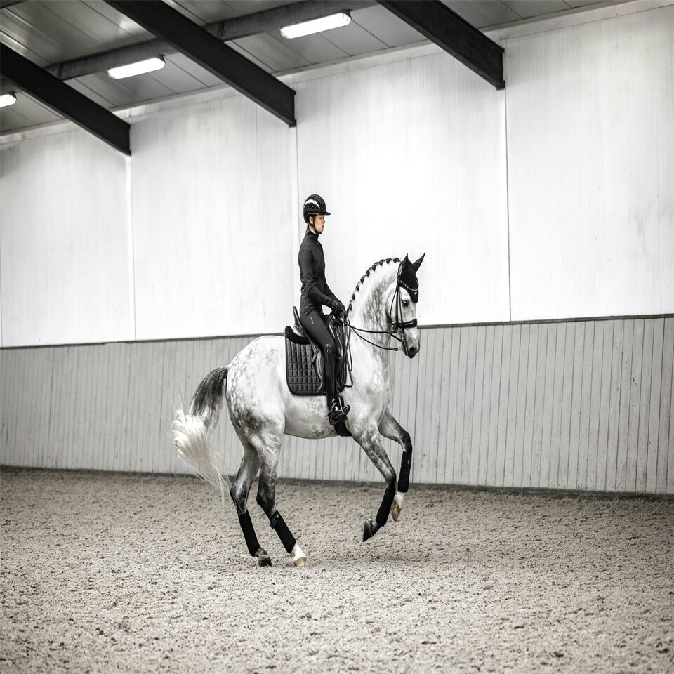 image 1 of LeMieux Loire Classic Dressage Square Purple | Large