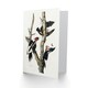 image 2 of John James Audubon Art Card Ivory Billed Woodpecker