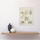 image 4 of Native New Zealand Wildflowers Artwork Featon Wall Art Poster Print 12X16"