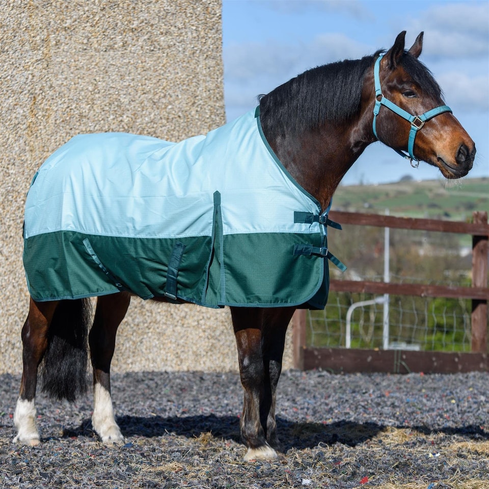 image 1 of eQuitack 600D Waterproof Horse Turnout Rug 0g No Fill Regular Neck Pista Aqua/Bottle Green 6'6''
