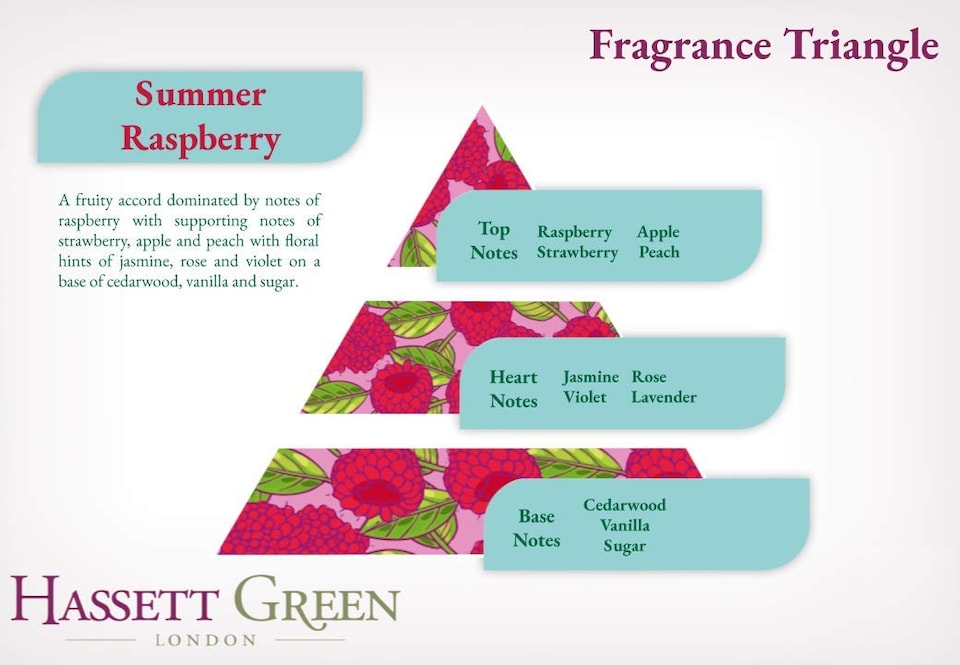 image 1 of Hassett Green London - Summer Raspberry - Scented Wooden Balls Pack of 12 plus 30ml Bottle of Home Fragrance Oil for Refreshing - Alternative to Pot Pourri, Diffusers, Sachets and Drawer Liners