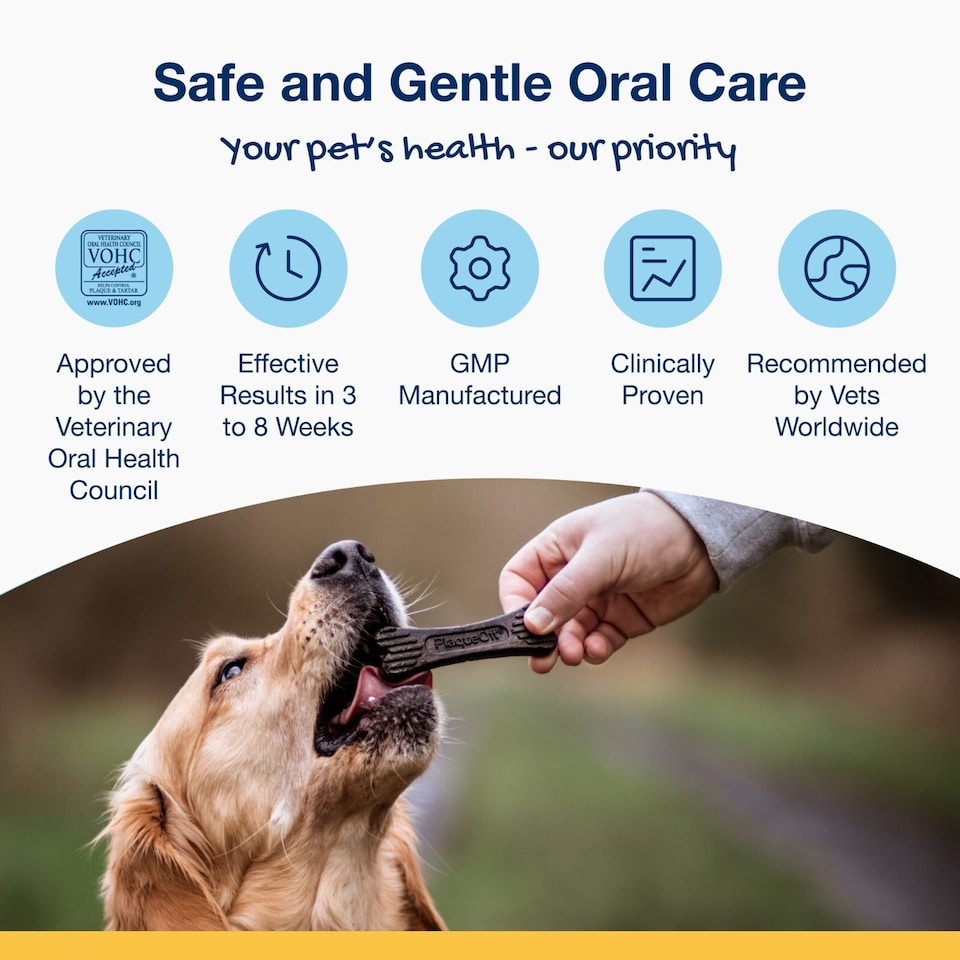 image 1 of ProDen PlaqueOff Veg & Blueberry Mini Dental Bones for Small & Toy Dogs