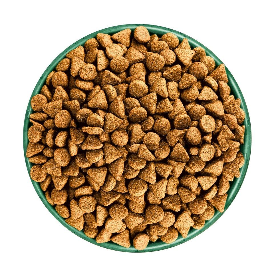 image 1 of James Wellbeloved Superfoods 1-7 Years Adult Dry Dog Food Turkey with Kale & Quinoa 10kg