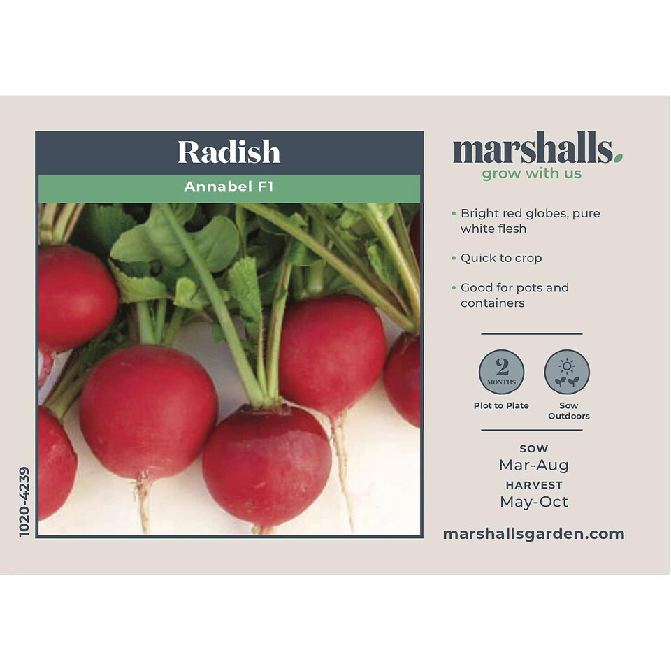 image 1 of Marshalls Garden Radish Seeds 'Annabel' F1 100 seeds