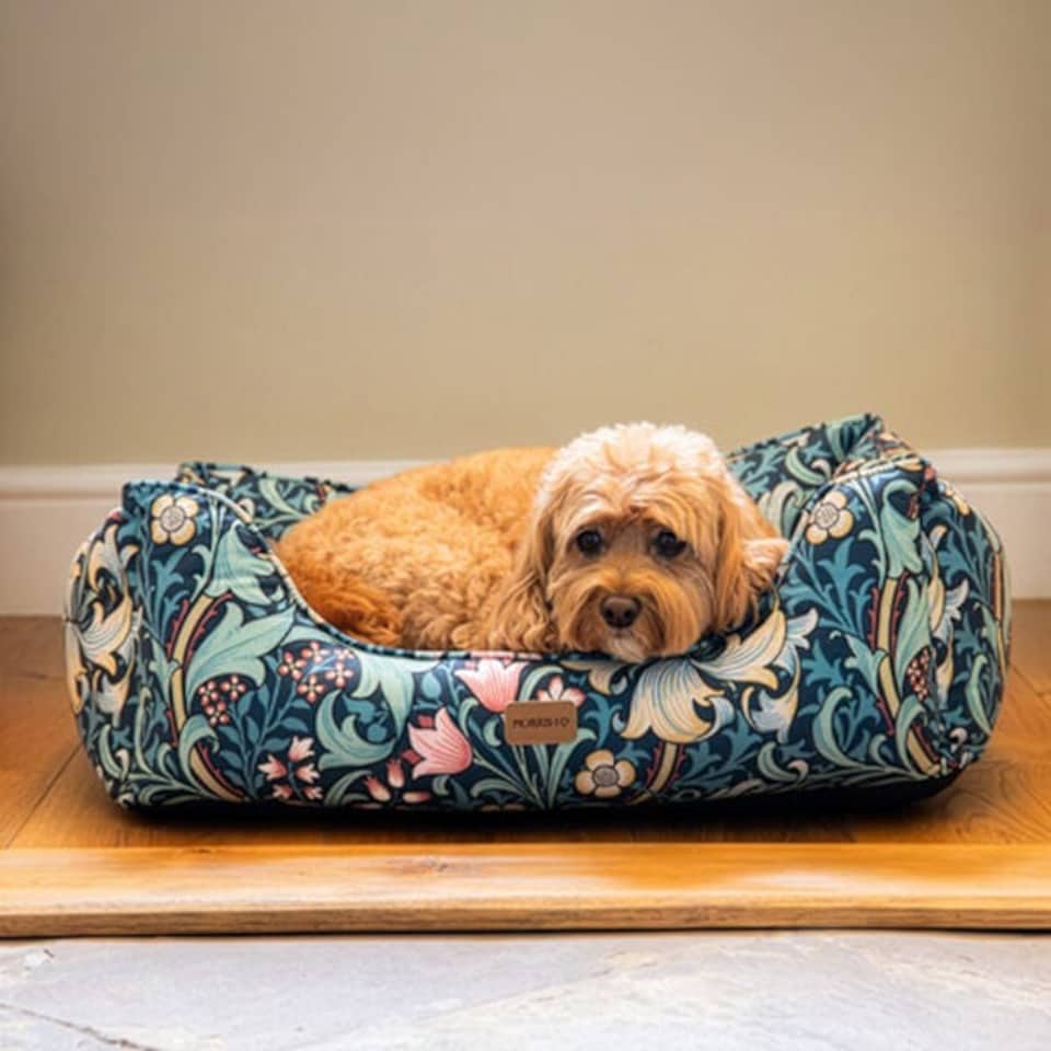 image 1 of Morris & Co Golden Lily Medium Square Dog Bed