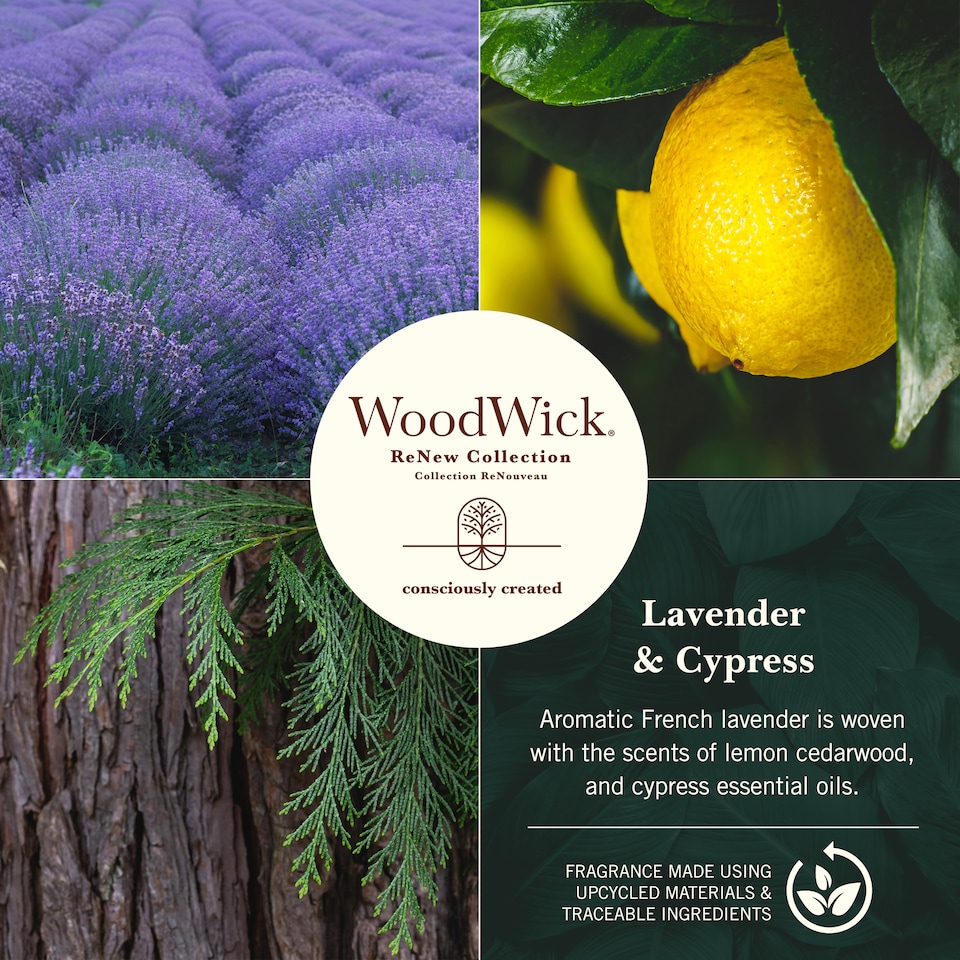 image 1 of WoodWick - Large Renew Candle - Lavender & Cypress
