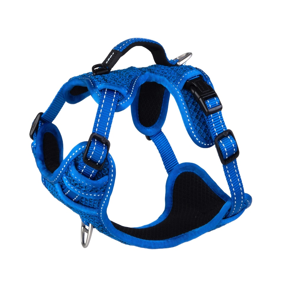 Rogz Explore Harness - Small Blue N/A | S
