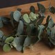 image 3 of Eucalyptus Spray Artificial Plant - Fabric/Plastic - L22 x W13 x H91 cm - Green