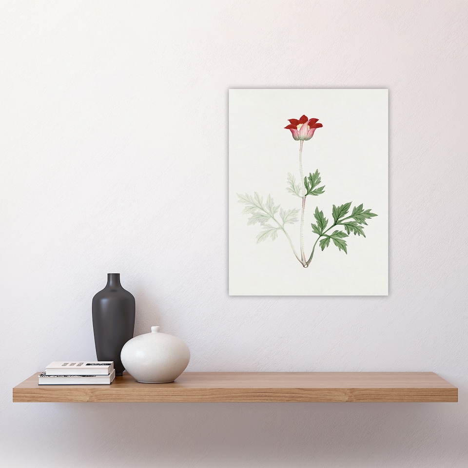 image 1 of Red Bloom Flower Vintage Japan Wall Art Print Japanese Botanical 12x16"